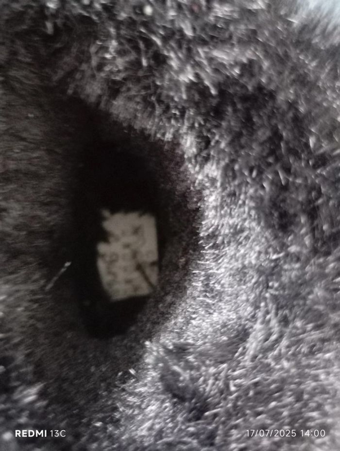 Botte hiver chat - photo numéro 2