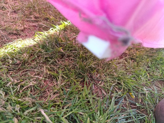 Penderie Hello Kitty - photo numéro 4