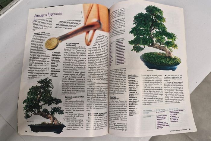Magazine "Mon premier bonsaï " - photo numéro 6