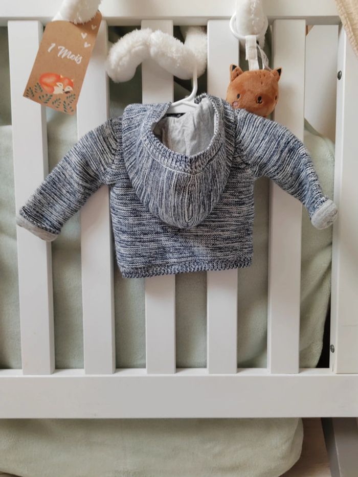 Gilet chaud avec capuche 1 mois - photo numéro 2