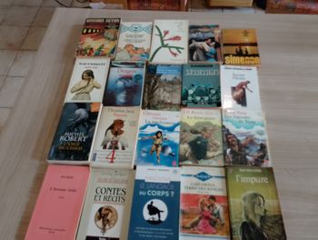 Lot de 20 livres divers (8)