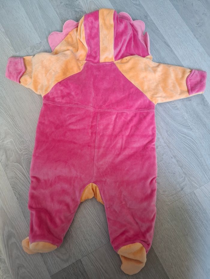 Combi pilote 9 mois - photo numéro 4