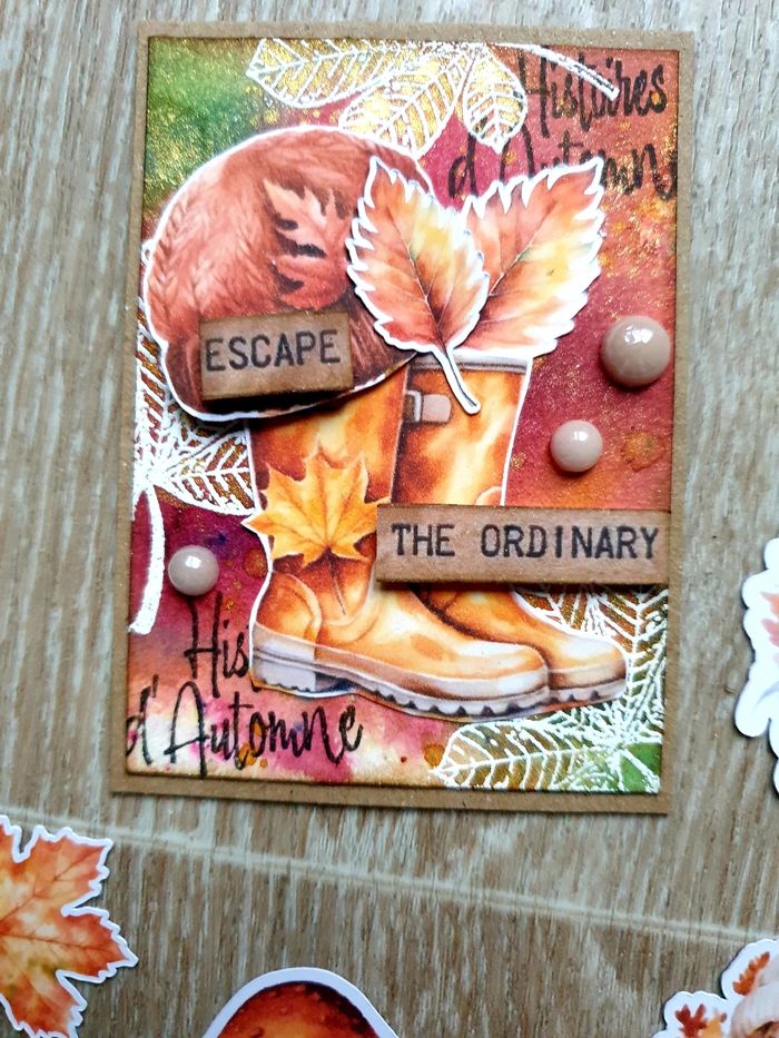 Lot die cut automne scrapbooking - photo numéro 5