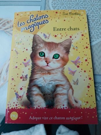 Les chatons magiques entre chats