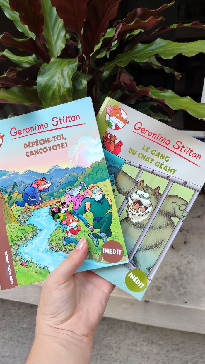 Romans Geronimo Stilton
