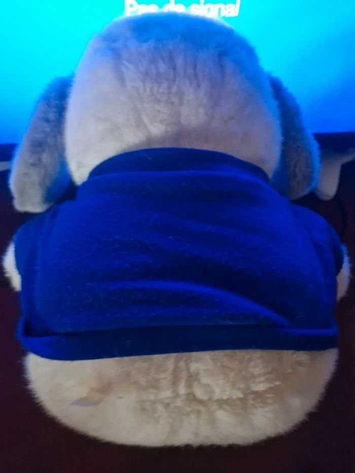 chien tommi en peluche - photo numéro 5