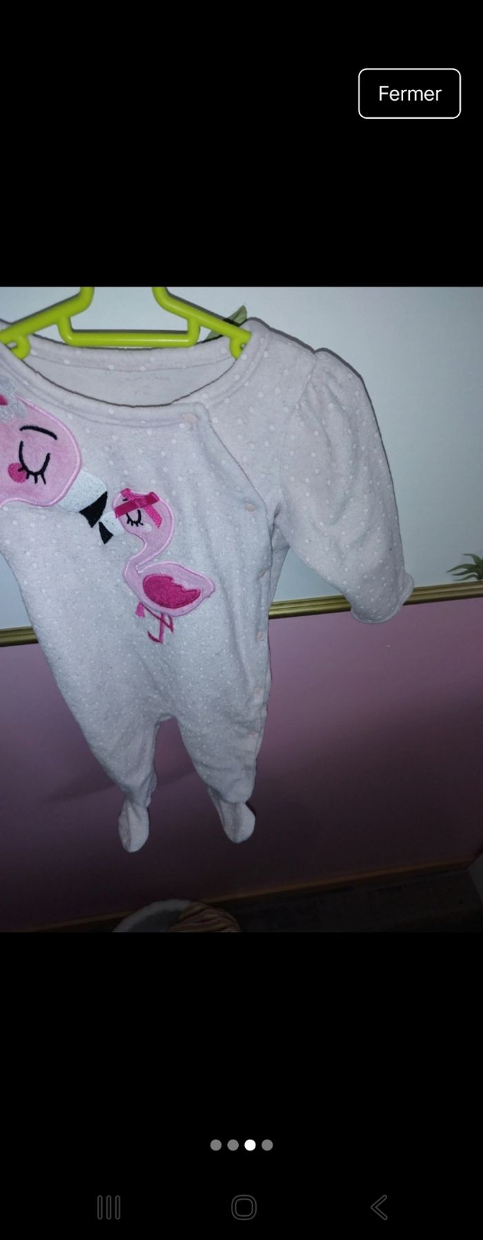 Grenouillère - photo numéro 3