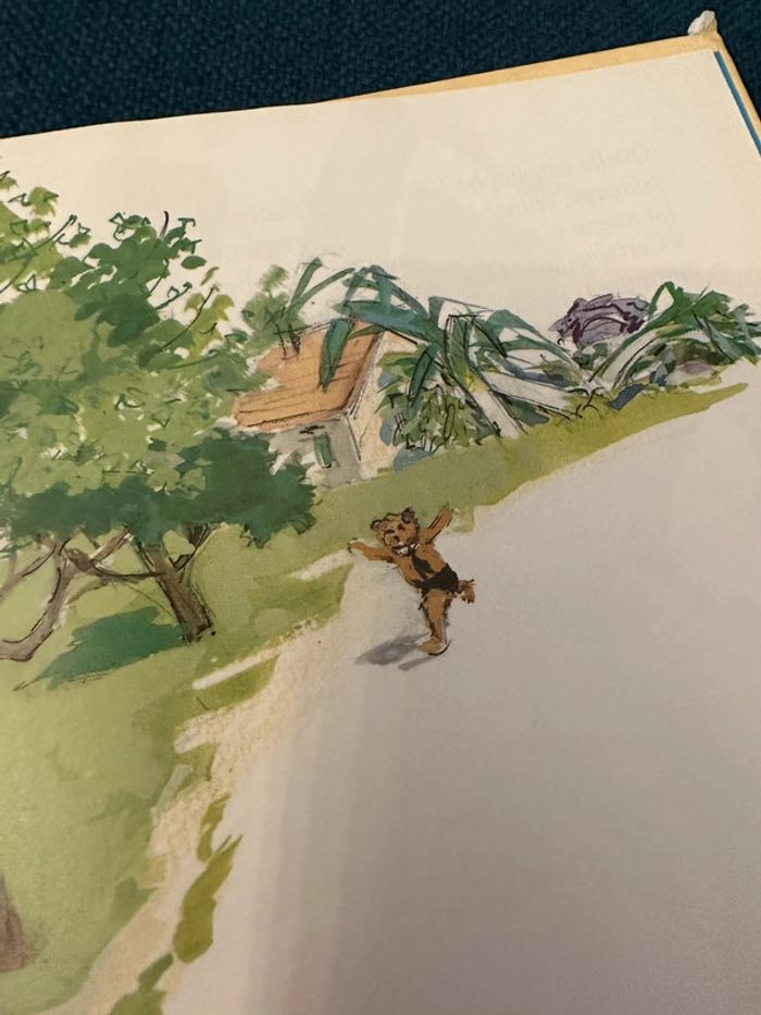 Livre vintage Caroline et le jardin potager ensorcelé Pierre Probst Hachette album - photo numéro 10