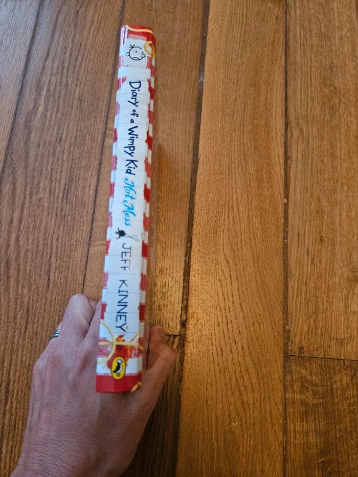 Diary offres a wimpky kid hot mess - photo numéro 5