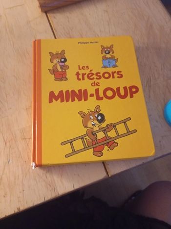 Mes trésors de mini loup