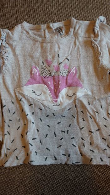 Pull renard Orchestra