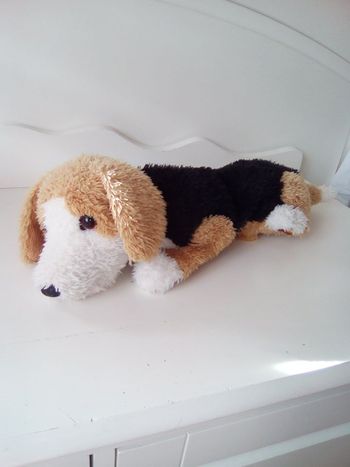 peluche chien "Mon toutou calin"