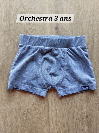 Boxer Orchestra 3 ans