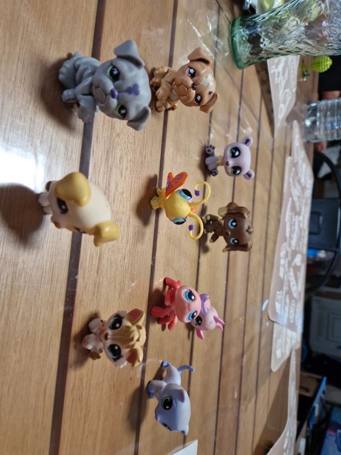 Lot petshop (7) - photo numéro 10
