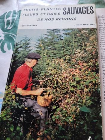 Fruits plantes fleurs et baies sauvages de nos regions