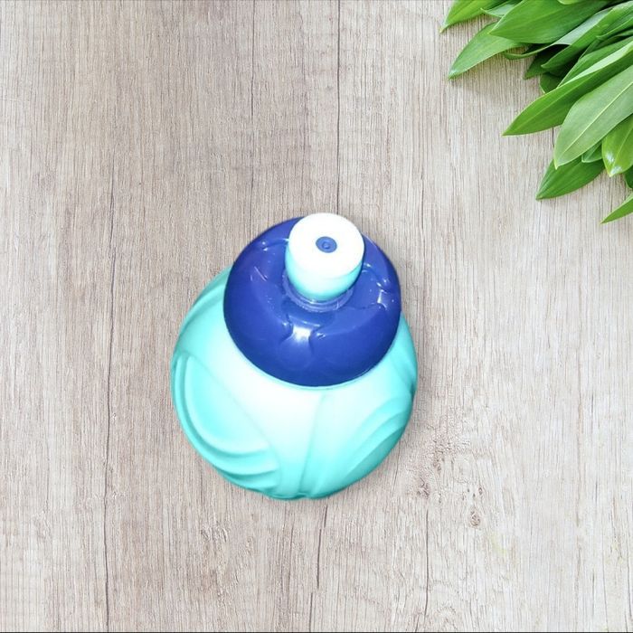 Gourde bluey - photo numéro 7