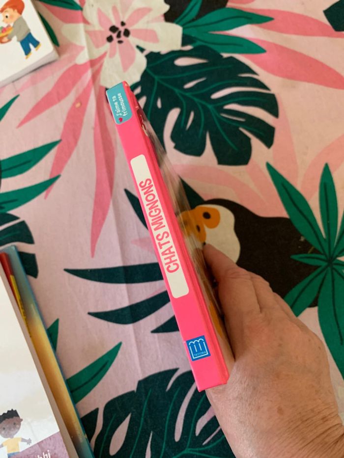 Chats mignons - photo numéro 3