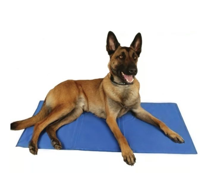 Tapis rafraîchissant pour chien