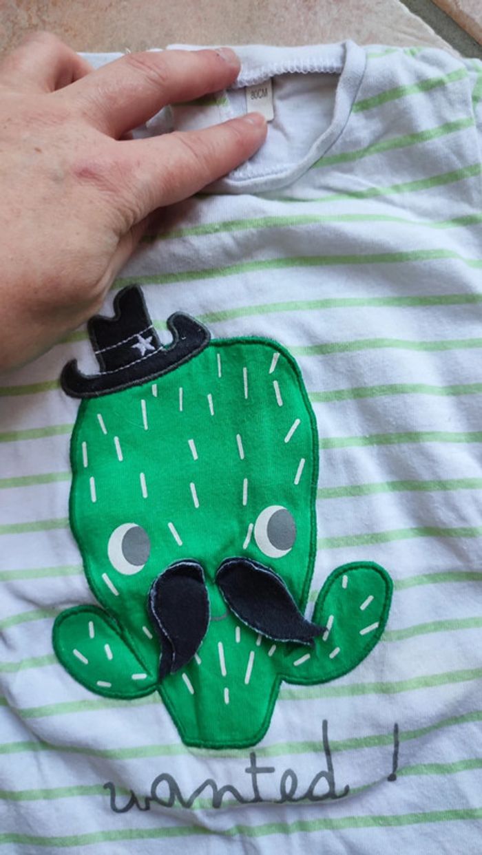 Barboteuse cactus - photo numéro 2