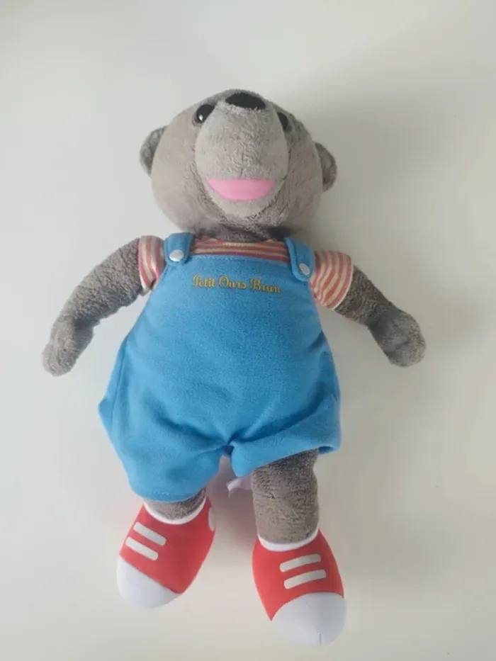 Petit ours brun - photo numéro 2