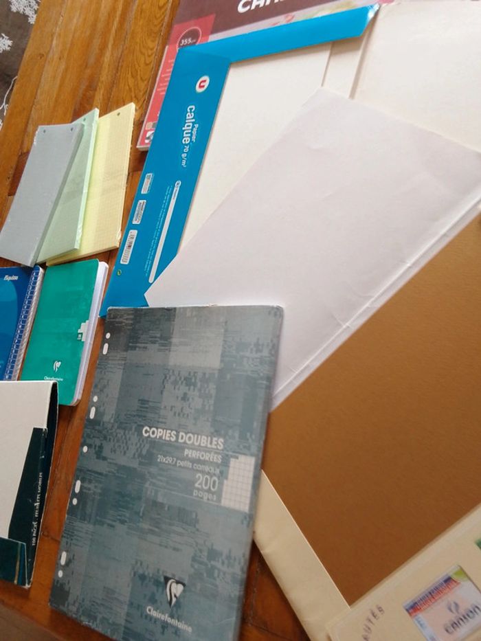 Feuilles dessin Répertoire cahier Feuilles canson et autres - photo numéro 4