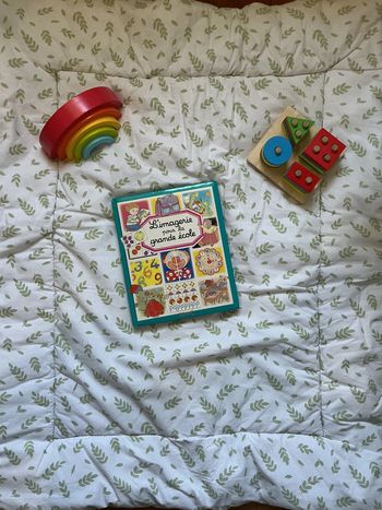 livre l'imagerie pour la grande école éditions fleurus