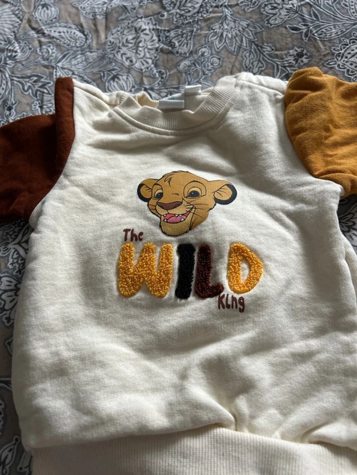 Pull Simba - photo numéro 2