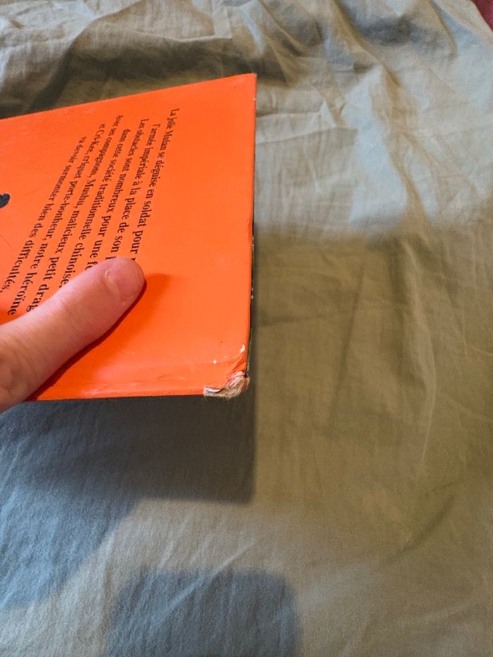 Mulan - photo numéro 4