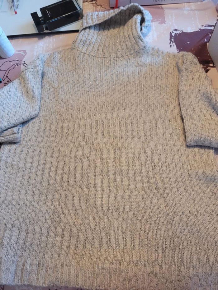 Pull col roulé Beige avec mailles en fil doré
la redoute T42/44 - photo numéro 3