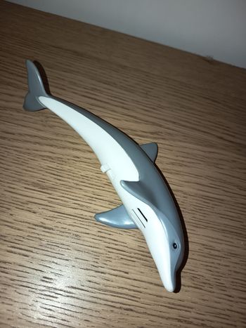 Dauphin barbie baywatch