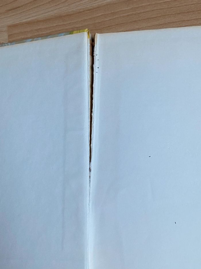 Livre Les Malheureux de Shopie - photo numéro 4