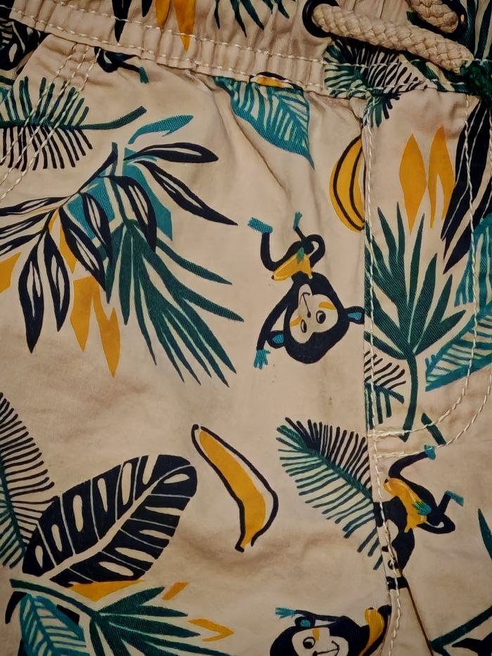 Short singe - photo numéro 2