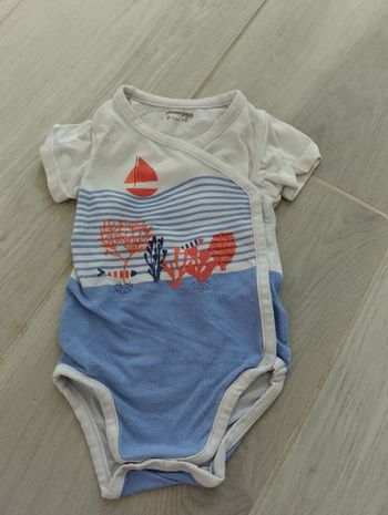 Body MC 6M