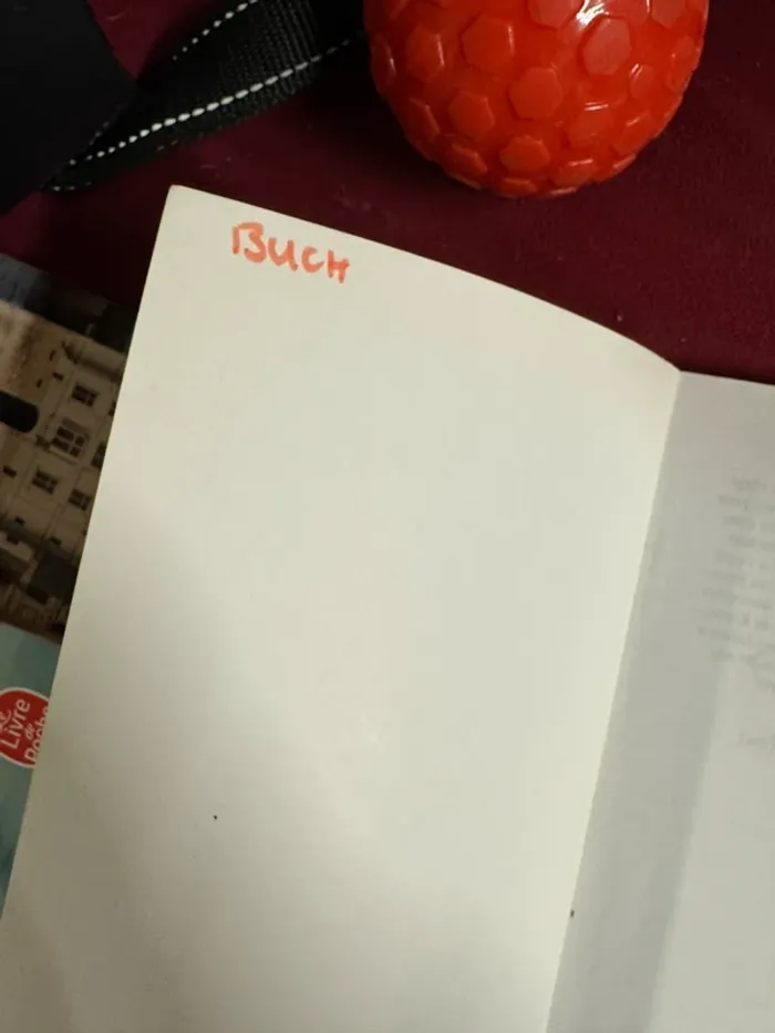 Livre cabot caboche - photo numéro 2