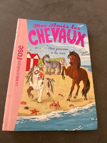 Livre bibliothèque rose mes amis les chevaux tome 14