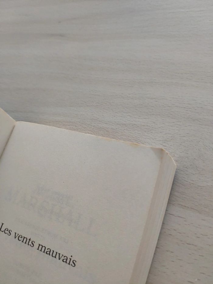 Livre poche thriller les vents mauvais Marshall - photo numéro 8