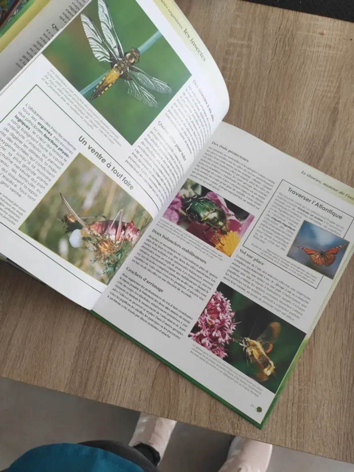Livre édition atlas les insectes - photo numéro 4
