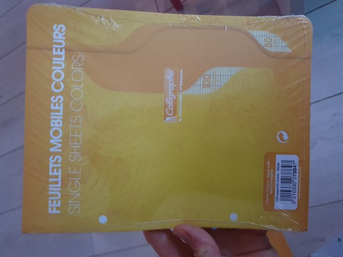 Feuilles de couleur - photo numéro 3