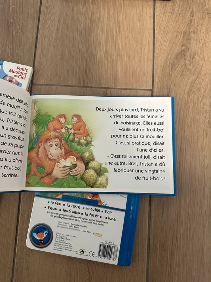 Lot de livre enfants petits x5 - photo numéro 7