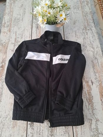 Veste adidas