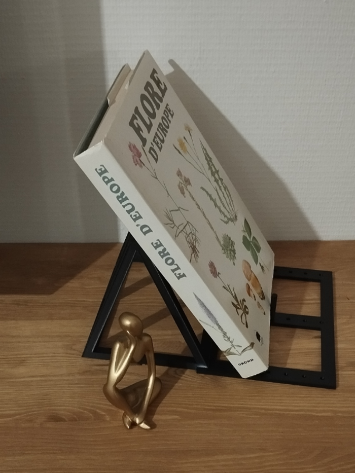 Ouvrage Flore d'Europe édition Gründ 1975 - photo numéro 2