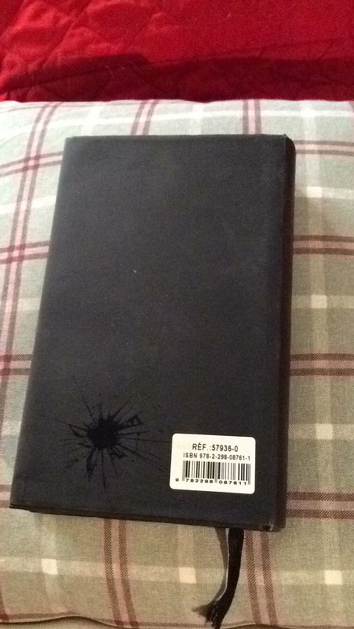 #petite soeur par Patricia Mac Donald - photo numéro 3