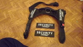 Harnais anti traction pour chien