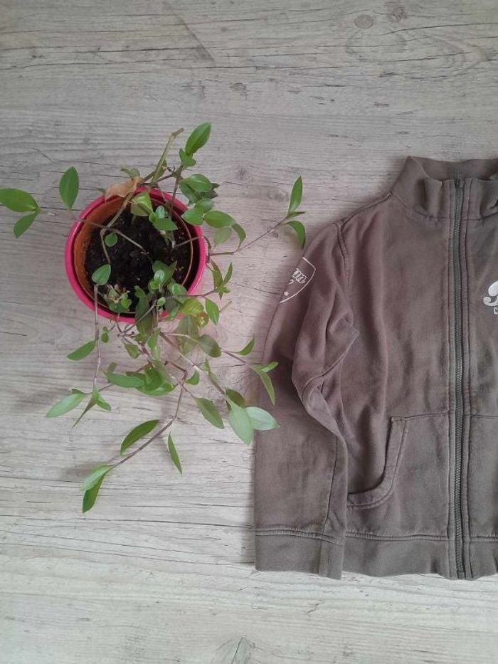 Sweat zippé 8 ans