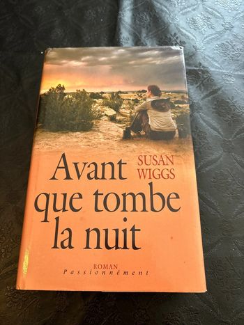 Avant que tombe la nuit. Roman