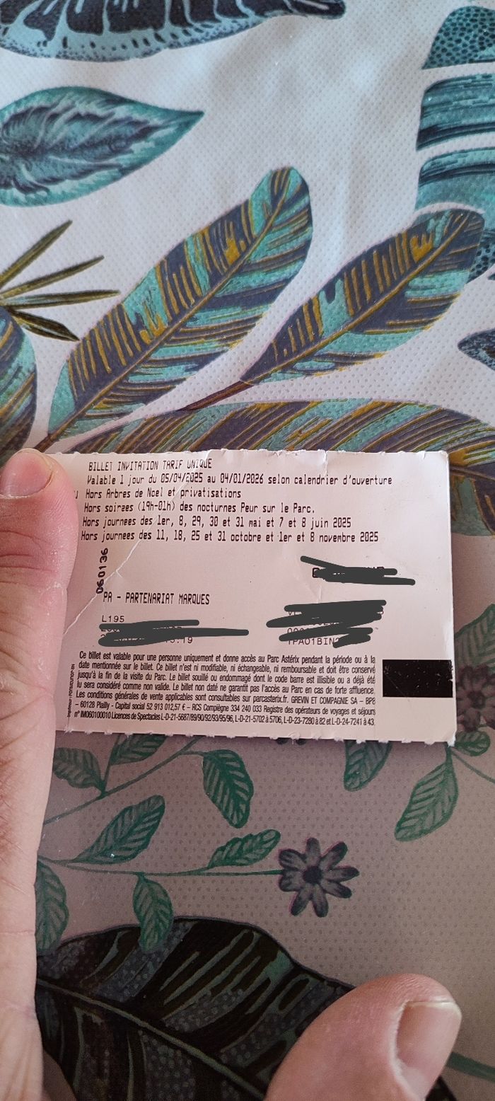 2 entrees  places pour parc Astérix - photo numéro 3
