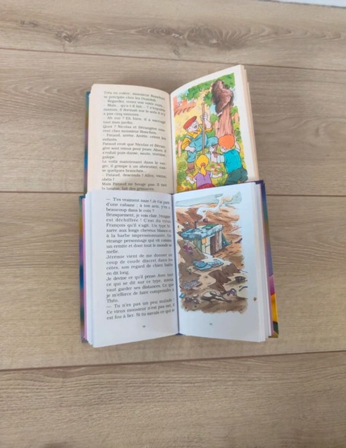 Livres (ma jolie bibliothèque) - photo numéro 3