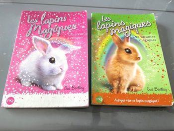 Lot de livres Les Lapins magiques numéros 1 et 2