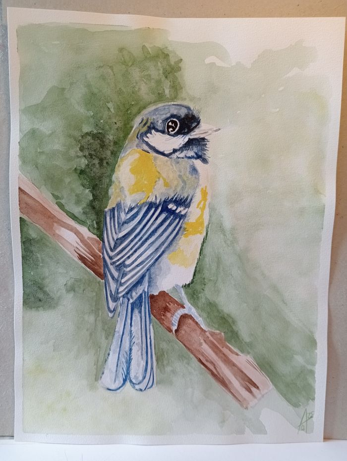 Mésange à l' aquarelle - photo numéro 6