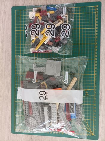 Sachet numéro 29 n°29 complet pour le set Lego Icons 10294 Le Titanic